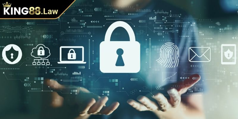 Thực trạng rủi ro và biện pháp đối phó 